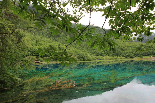 九寨溝，宛如退隱江湖的絕佳聖地！