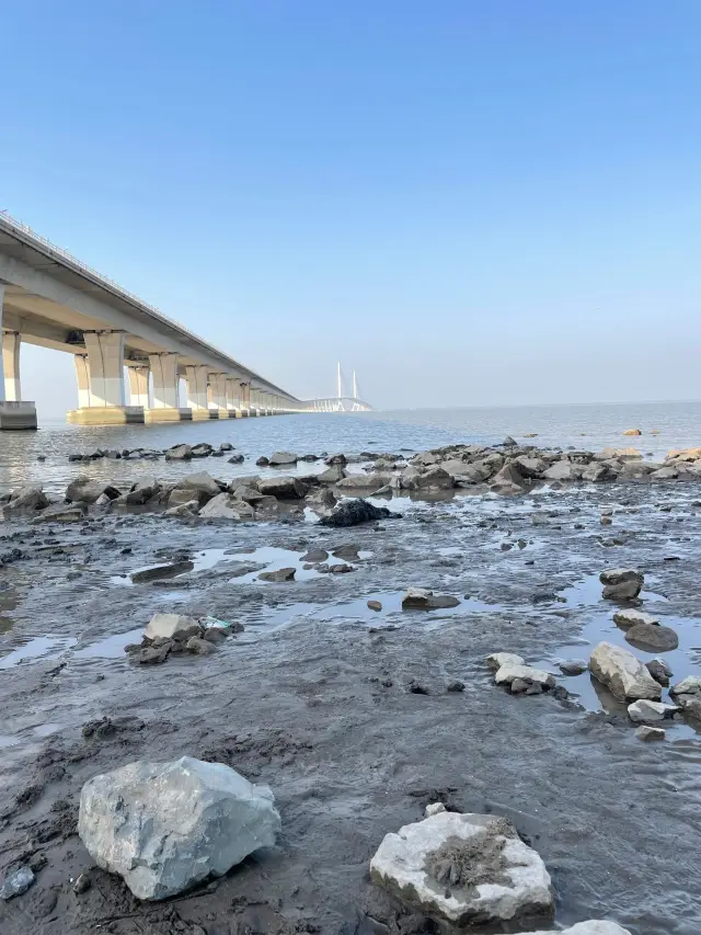 上海長興島 打卡 | “悲傷逆流成河”取景地