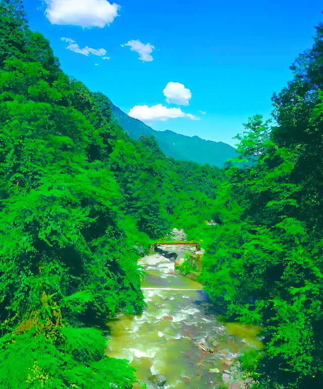 向雲端~馬里冷舊開滿鮮花的草地！！！