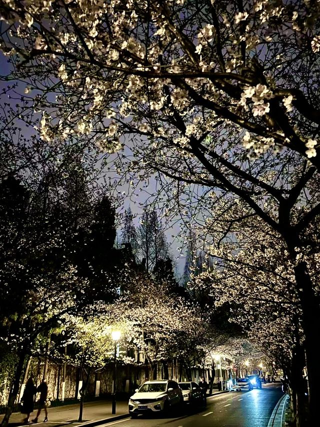 南京雞鳴寺櫻花旅遊攻略