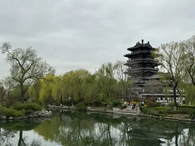 Spring arrives at Daming Lake - transcending the Superb Building and the charm of Seven Bridges