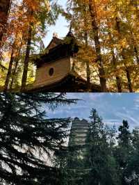 快看快看!保密級別旅遊攻略之西安篇