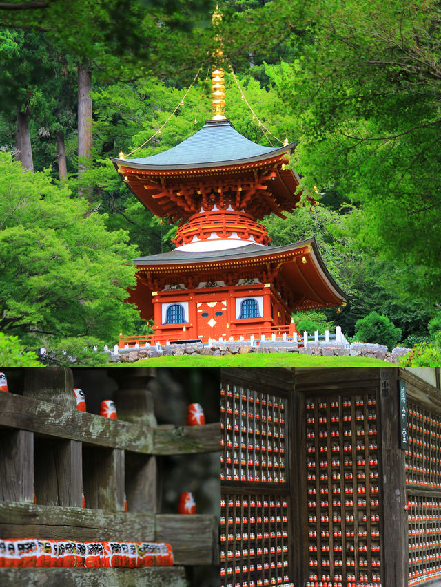 大阪「勝尾寺」|真的太好拍了