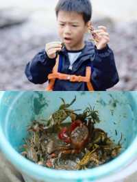 浙江赶海天花板遍地是螃蟹跳跳魚