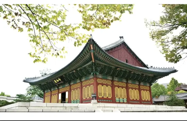 한국 서울 여행| 반드시 가봐야 할 12곳의 명소