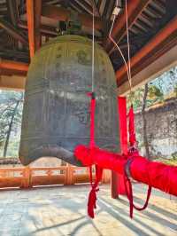 福從惠山來，無錫惠山寺的別致之美