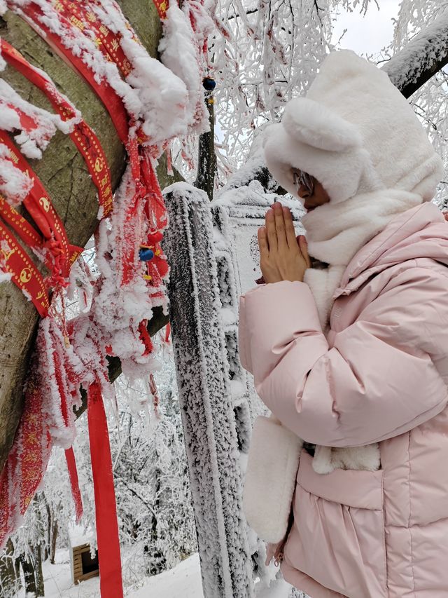 走啊！上春山～光雾山展示真正的“春山雪”