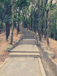 深圳徒步|週末來爬陽台山啦和我的爬山搭子日常