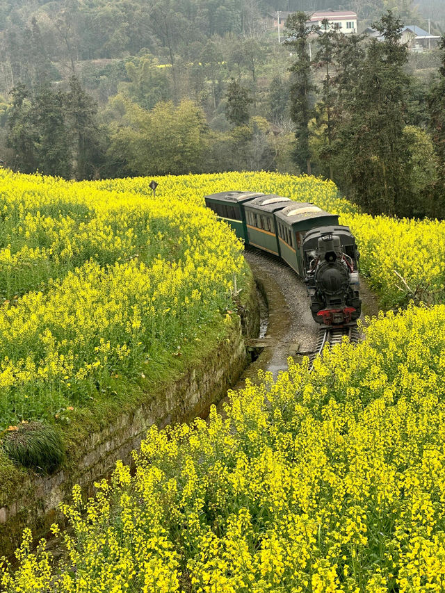 四川樂山嘉陽小火車｜開往春天的列車