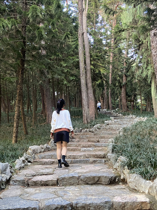 南寧市人民公園，現實版的綠野仙蹤！拍照打卡超出片！