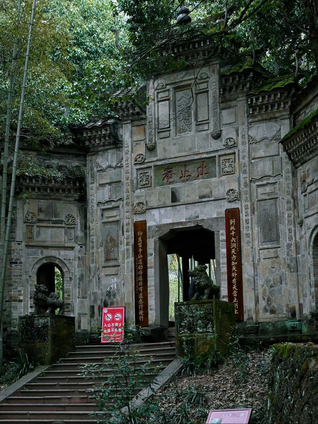 武夷山｜詳細攻略輕鬆暢遊山水間！