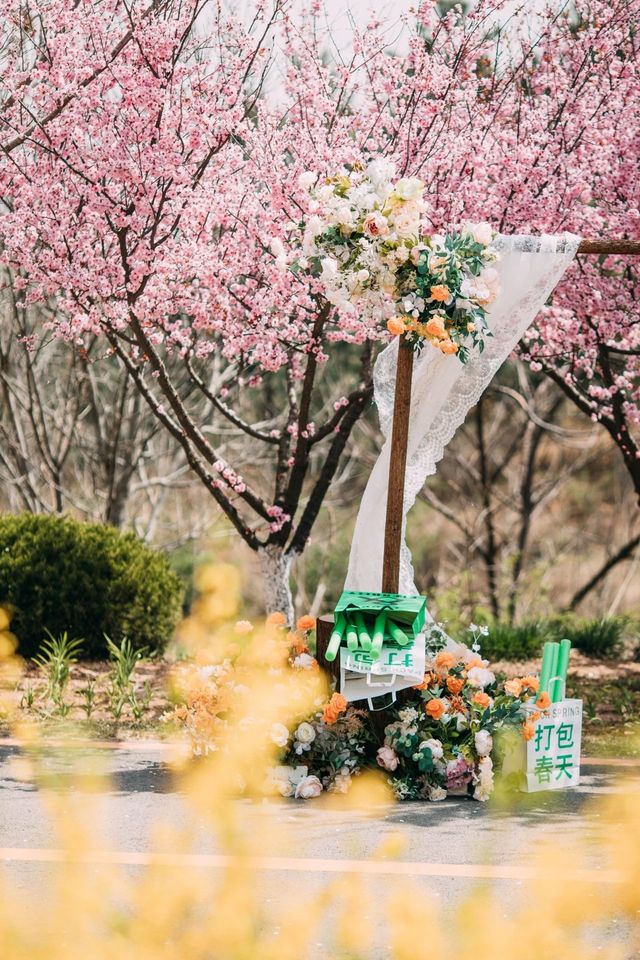 想要踏青賞花，就來藏馬山吧