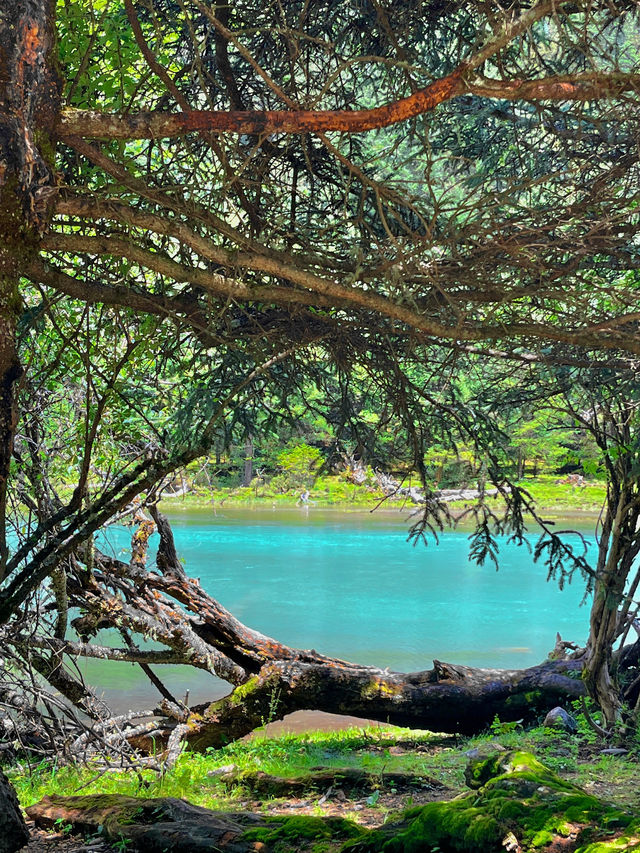 川西的月亮湖，堪稱國內浪漫露營天花板