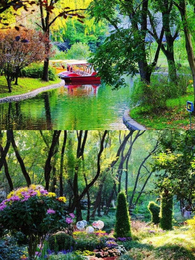 共青森林公園｜上海的莫奈花園，太仙太美啦