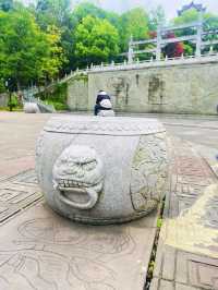 帶孩子就來秀湖公園