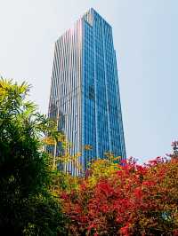 人民公園，你玩真花啊