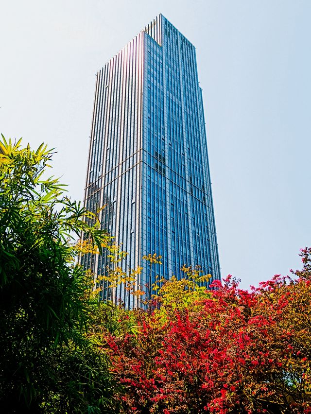 人民公園，你玩真花啊