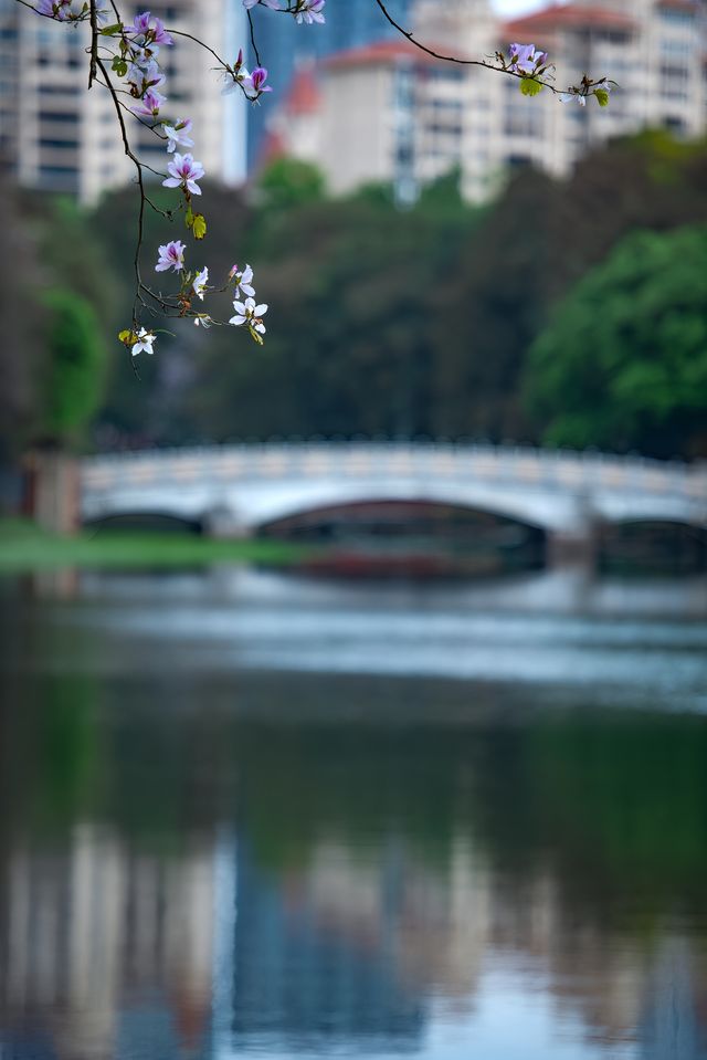 佛山周末去哪玩？姹紫嫣紅的亞藝公園真養眼