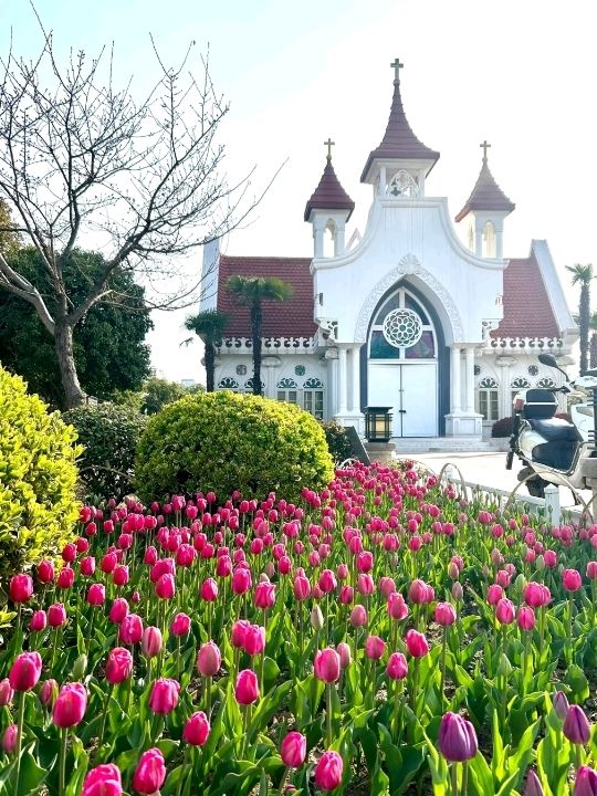 Xuanwu Lake in Nanjing Cherry Blossoms🌸🇨🇳