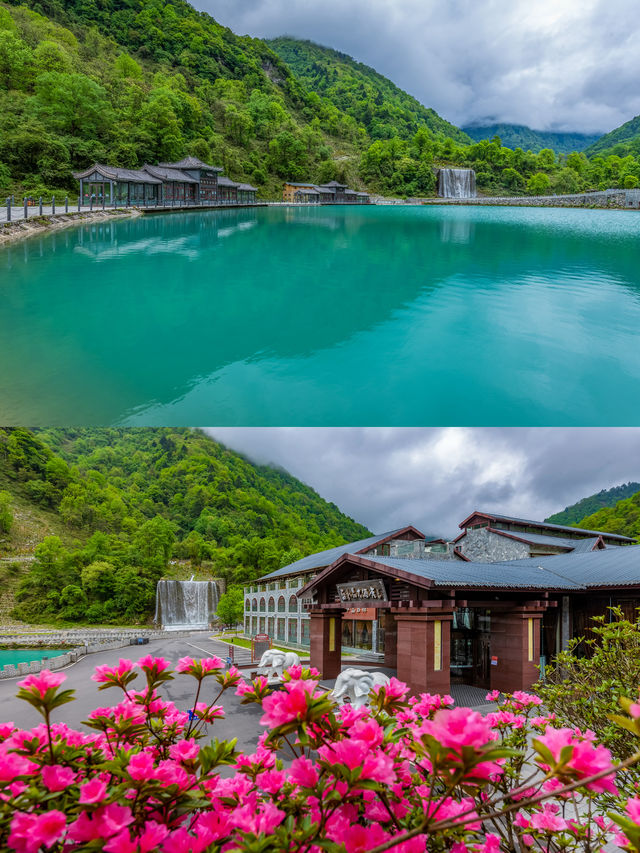 成都周邊遊|五一去原始大森林徒步踏春徒步賞花