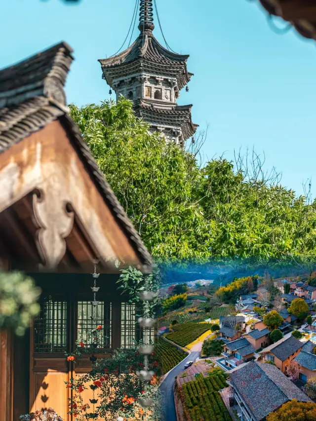 A one-day greenery-trampling route that not even all Wuyi locals may know! Few people!