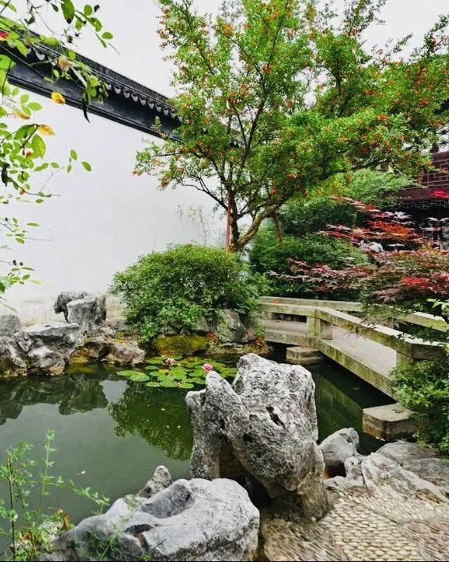 以後來蘇州，就住這了，超治癒園林式酒店！太讚了！