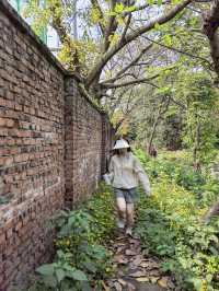 一定不能錯過重慶輕軌直達，夏季清涼徒步