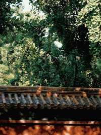 【北京景點】景山公園：俯瞰故宮全景俯仰天地之間