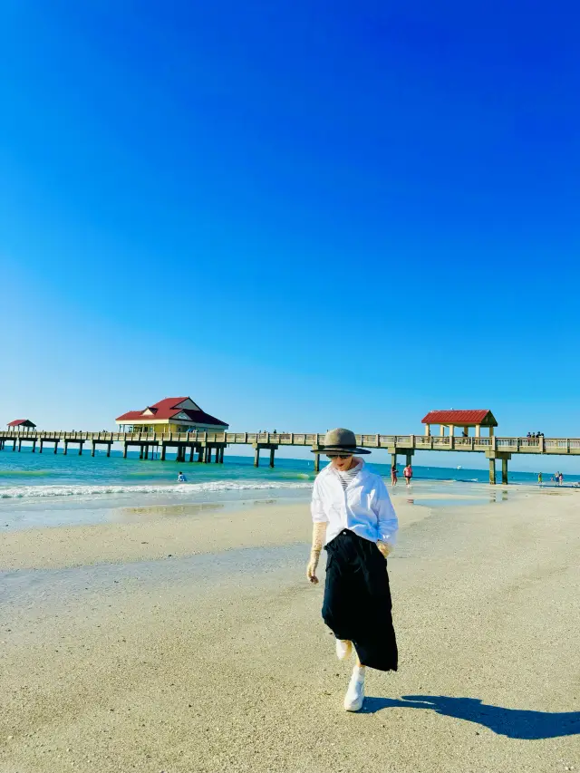 탬파에 푹 빠졌어요