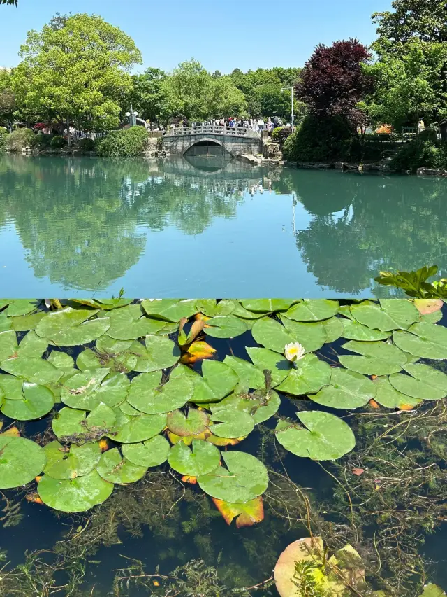 Nanjing's 'Little Jiuzhaigou' lives up to its name (with nanny-level strategy guide)