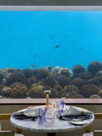 🌴🛎️ Maldives Magic: Top Hotel Picks at Lobigili! 🏖️✨