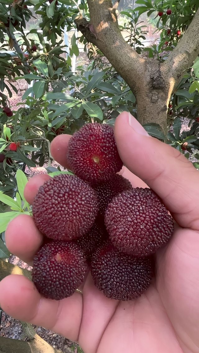 nice！要去睡過才會懂的民宿