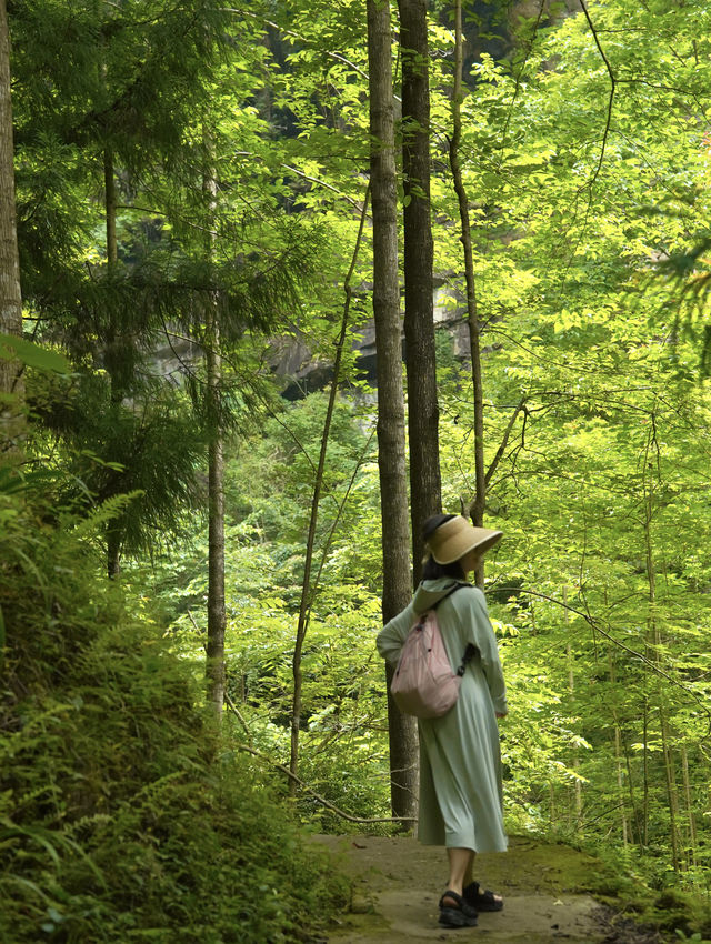 藏不住啦每年都會去幾次的夏日避暑徒步玩水寶藏地