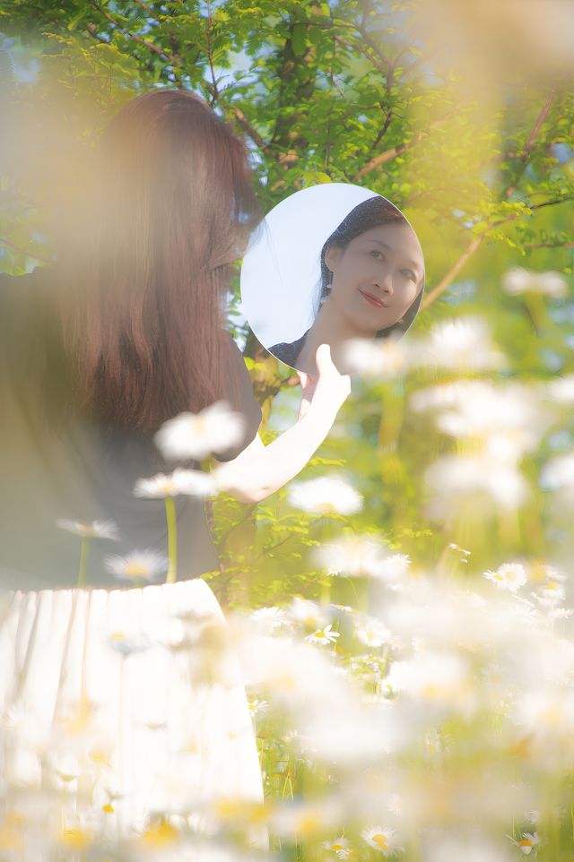 在上海〡和大濱菊的浪漫邂逅