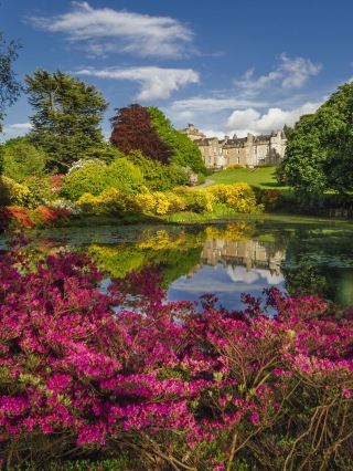 🏰✨ Enchanting Escapes: Glenapp Castle, UK 🌳🛏️