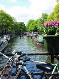 🌷✨ Amsterdam Escapades: Marriott Magic & City Charms! ✨🌷