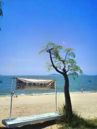 廈門秘境揭曉：黃厝沙灘，你的私人海濱樂園