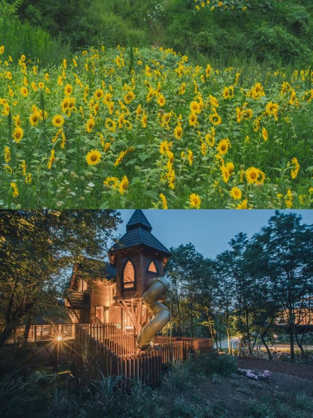 躺進神農架樹屋中看山野雲海太神仙了！
