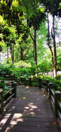 長壽公園：普陀人家門口的“清涼世界”
