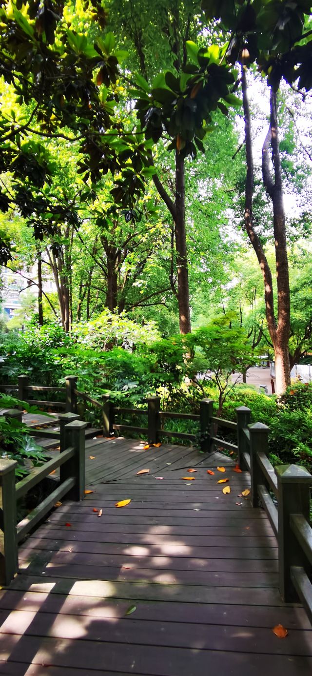 長壽公園：普陀人家門口的“清涼世界”