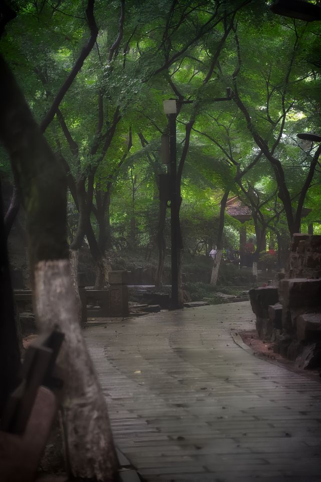 真的好避暑，常熟的免費夏日溯溪