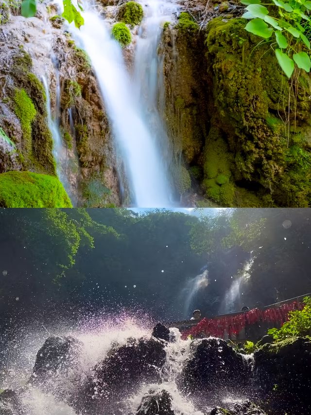 揭秘河南洛陽王府竹海：隱匿於世的絕美仙境