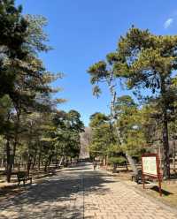 沈阳東陵遊玩攻略