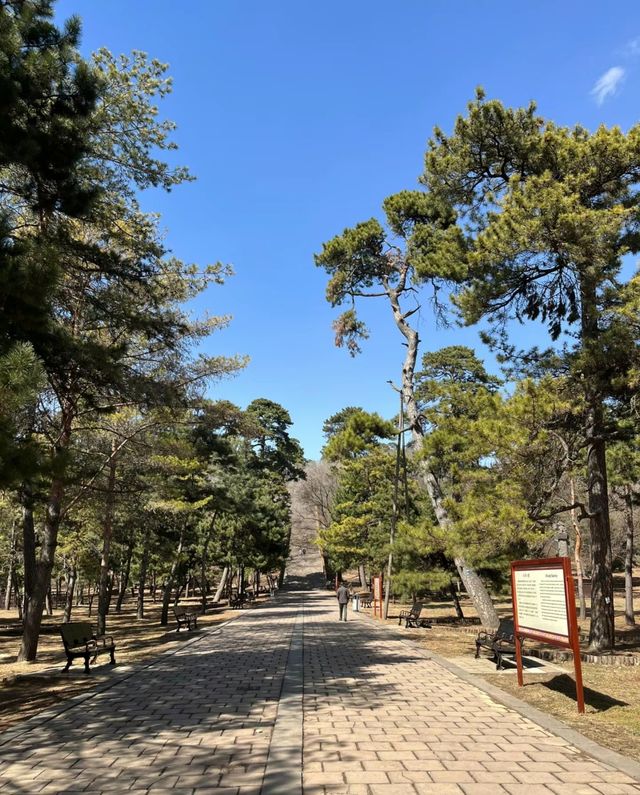 沈阳東陵遊玩攻略