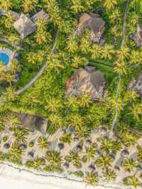 🌴 Unwind in Zanzibar: Top Beachfront Bliss Spots 🌊