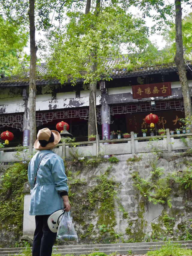 夏日避暑納涼好去處 | 來這個小眾森林秘境親子徒步玩水吧