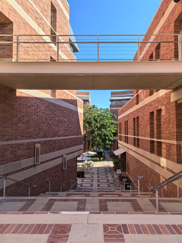 加州大學洛杉磯分校UCLA，不愧是夢中情校