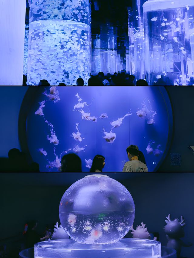 碼住！鄭州海昌遊玩拍照｜真實體驗攻略