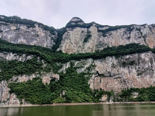 大鵬展翅