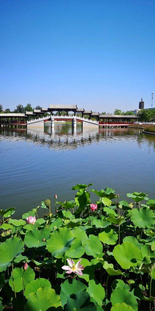 神池西海子濕地公園旅遊攻略